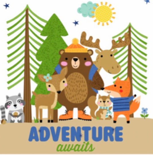 Adventure Awaits 6x8 Album