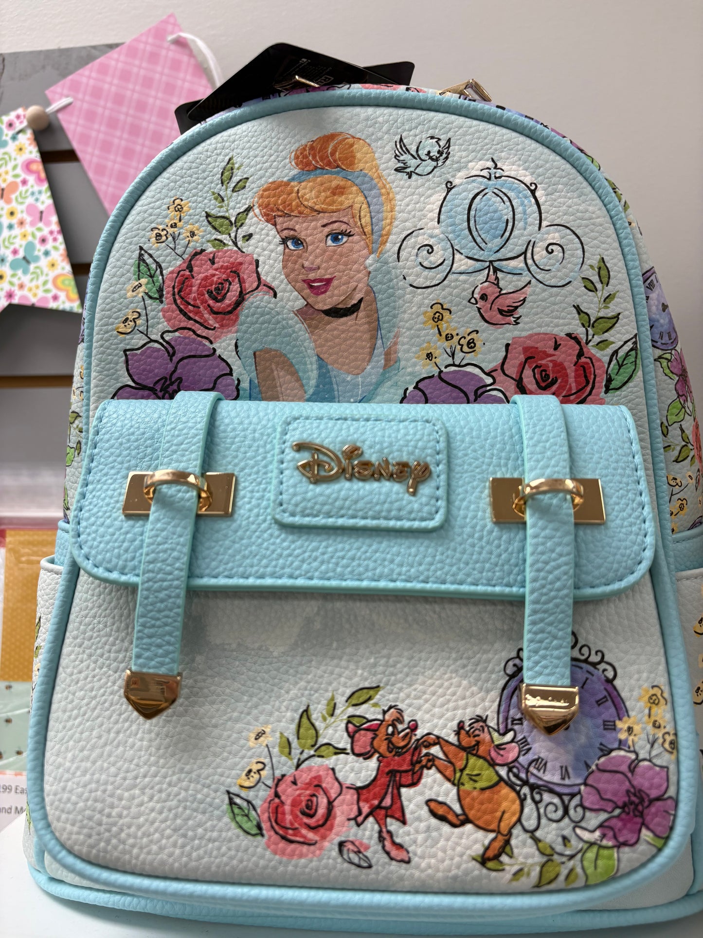 Cinderella Back Pack